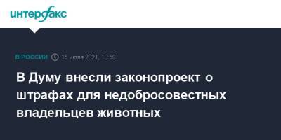 Владимир Бурматов - Павел Крашенинников - В Думу внесли законопроект о штрафах для недобросовестных владельцев животных - interfax.ru - Москва - Россия