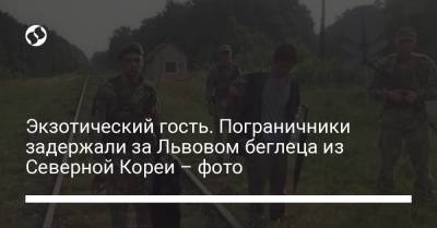 Экзотический гость. Пограничники задержали за Львовом беглеца из Северной Кореи – фото - liga.net - Украина - КНДР - Львов - Турция - Киргизия