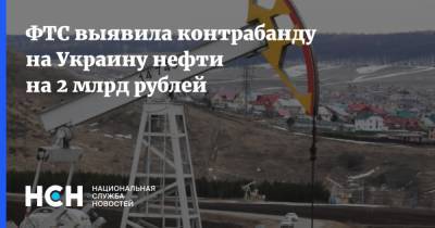 ФТС выявила контрабанду на Украину нефти на 2 млрд рублей - nsn.fm - Россия - Украина - Италия - Московская обл. - Новороссийск - Южный