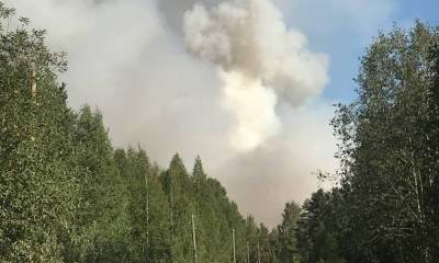 Спасатели локализовали опасный пожар рядом с карельским поселком - gubdaily.ru - республика Карелия