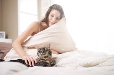На что обращать внимание, если кошка спит с вами в одной постели? - skuke.net