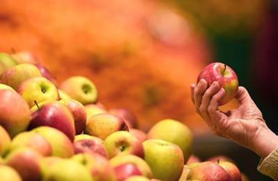 Большой процент раннего яблока уйдет на переработку из-за погоды - agroportal.ua - Украина