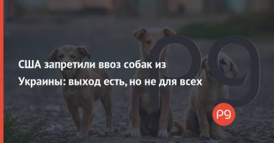 США запретили ввоз собак из Украины: выход есть, но не для всех - thepage.ua - Россия - Китай - США - Сирия - Украина - КНДР - Армения - Казахстан - Египет - Молдавия - Грузия - Колумбия - Белоруссия - Турция - Судан - Ирак - Бразилия - Иран - Индия - Таджикистан - Куба - Саудовская Аравия - Ливия - Азербайджан - Вьетнам - Бирма - Филиппины - Малайзия - Катар - Нигерия - Ливан - Мали - Иордания - Индонезия - Бруней - Киргизія - Кения - Кувейт - Оман - Замбия