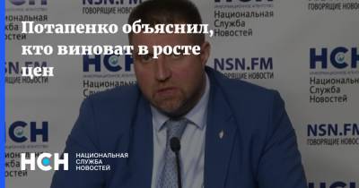 Дмитрий Потапенко - Потапенко объяснил, кто виноват в росте цен - nsn.fm