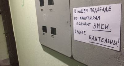 В Луганске продолжается нашествие змей. Что делать - cxid.info - Луганская обл. - Луганск