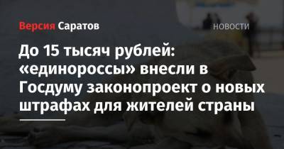 Владимир Бурматов - Павел Крашенинников - До 15 тысяч рублей: «единороссы» внесли в Госдуму законопроект о новых штрафах для жителей страны - nversia.ru - Россия