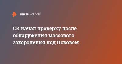 СК начал проверку после обнаружения массового захоронения под Псковом - ren.tv - Псковская обл. - Псков