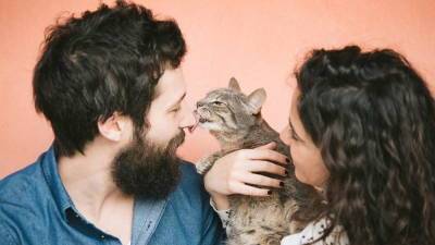 Добрые и ласковые: топ-7 самых дружелюбных кошек - profile.ru