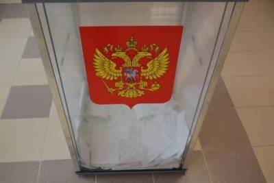 Выборы в Госдуму в этом году обещают высокую конкуренцию среди кандидатов - rostov.mk.ru - Россия