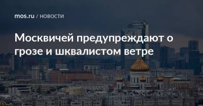 Москвичей предупреждают о грозе и шквалистом ветре - mos.ru - Москва
