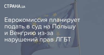 Еврокомиссия планирует подать в суд на Польшу и Венгрию из-за нарушений прав ЛГБТ - strana.ua - Украина - Венгрия - Польша - Ляйен