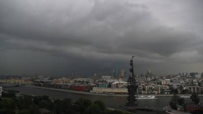 Поваленные деревья и затопленный аэропорт: на Москву обрушился тропический ливень - mir24.tv - Москва