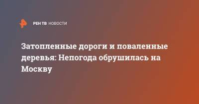 Затопленные дороги и поваленные деревья: Непогода обрушилась на Москву - ren.tv - Москва - Россия