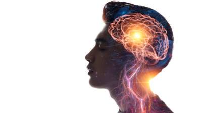 Режим сна и отказ от сладкого: как сохранить ясность ума в любом возрасте - mir24.tv - Москва - Санкт-Петербург