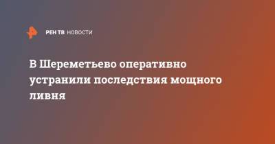 В Шереметьево оперативно устранили последствия мощного ливня - ren.tv - Москва