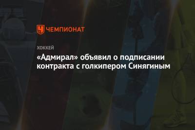 «Адмирал» объявил о подписании контракта с голкипером Синягиным - championat.com - Москва - Санкт-Петербург - Минск
