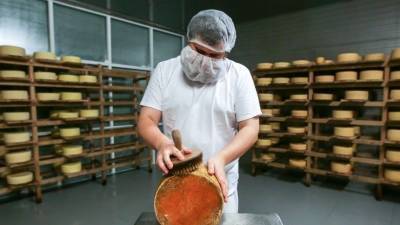 «Я слушаю пармезан»: О каких необычных работах вы скорее всего не знали? - 5-tv.ru - Италия - Япония - Испания