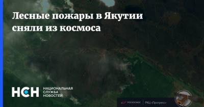 Лесные пожары в Якутии сняли из космоса - nsn.fm - респ. Саха