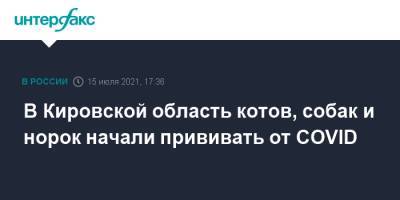 В Кировской область котов, собак и норок начали прививать от COVID - interfax.ru - Москва - Кировская обл.