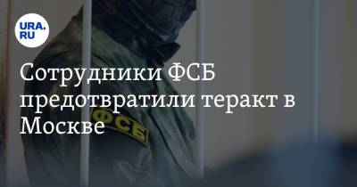 Сотрудники ФСБ предотвратили теракт в Москве. Видео - ura.news - Москва - Сирия