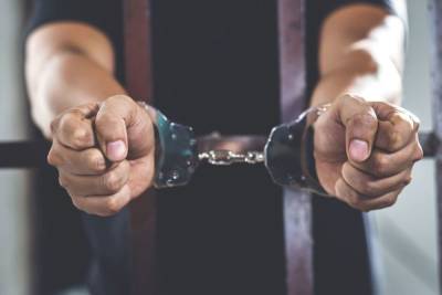 В Мурино задержали домогавшегося до девятилетней девочки геодезиста - spb.mk.ru