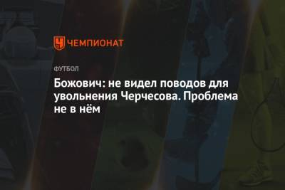 Станислав Черчесов - Божович: не видел поводов для увольнения Черчесова. Проблема не в нём - championat.com - Россия - Бельгия - Дания
