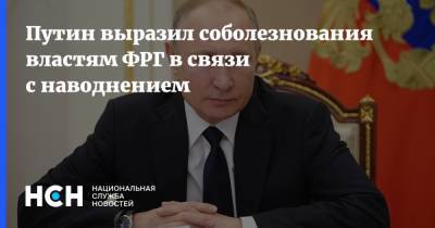 Владимир Путин - Ангела Меркель - Штайнмайер Франк-Вальтер - Путин выразил соболезнования властям ФРГ в связи с наводнением - nsn.fm - Россия - Германия
