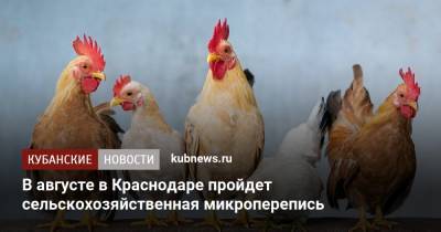 В августе в Краснодаре пройдет сельскохозяйственная микроперепись - kubnews.ru - Краснодарский край - Краснодар - Кубань