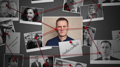 Любовь Соболь - Стариков объяснил, почему россияне потеряли интерес к бывшим структурам Навального - inforeactor.ru - Россия