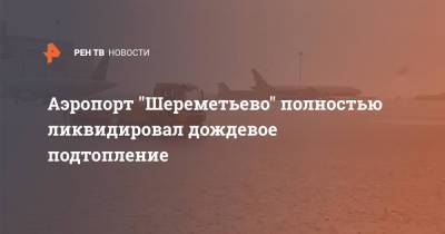 Анна Захаренкова - Аэропорт "Шереметьево" полностью ликвидировал дождевое подтопление - ren.tv - Москва
