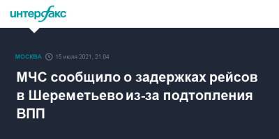МЧС сообщило о задержках рейсов в Шереметьево из-за подтопления ВПП - interfax.ru - Москва - Россия - Шереметьево