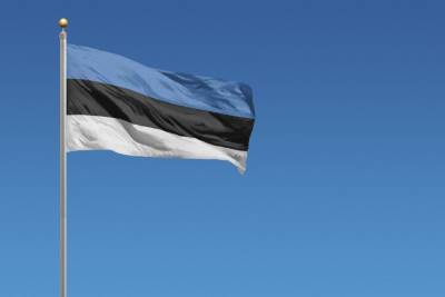 Кая Каллас - Эстония отправит петербургского делегата домой в отместку за выдворение их представителя - spb.mk.ru - Россия - Санкт-Петербург - Эстония