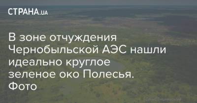 В зоне отчуждения Чернобыльской АЭС нашли идеально круглое зеленое око Полесья. Фото - strana.ua - Украина