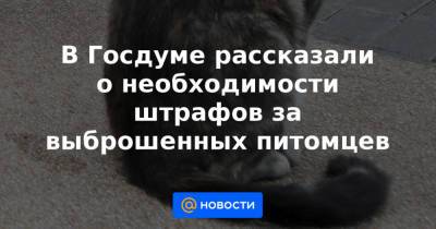 В Госдуме рассказали о необходимости штрафов за выброшенных питомцев - news.mail.ru - Россия
