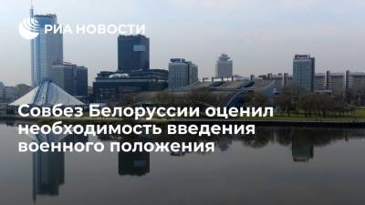 Александр Лукашенко - Замгоссекретаря Совбеза Белоруссии Арчаков: вводить в стране военное положение нет оснований - ria.ru - Белоруссия - Минск