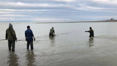 Два мальчика утонули на Камчатке при попытке переплыть промоину — фото с места - 5-tv.ru - Россия - Камчатский край
