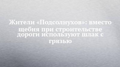 Александр Бастрыкин - Жители «Подсолнухов»: вместо щебня при строительстве дороги используют шлак с грязью - chelny-izvest.ru - Россия