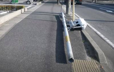 В Японии из-за собак упал столб со светофором - korrespondent.net - Украина - Япония