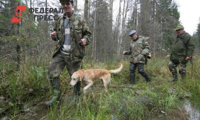 Названы самые распространенные ядовитые грибы и ягоды - fedpress.ru - Москва - Россия
