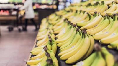 Цены на бананы в России обновили пятилетний максимум - piter.tv - Россия - Эквадор