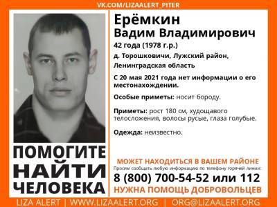 Элизабет Алерт - В Лужском районе почти два месяца назад без вести пропал 42-летний мужчина - ivbg.ru - Украина - Ленобласть