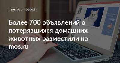 Более 700 объявлений о потерявшихся домашних животных разместили на mos.ru - mos.ru - Москва