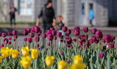 К выходным в Тюмень вернётся тепло - nashgorod.ru - Тюмень