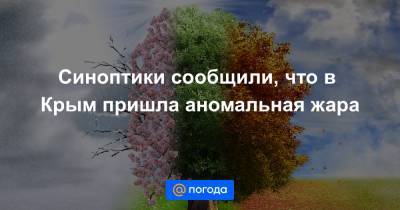 Синоптики сообщили, что в Крым пришла аномальная жара - news.mail.ru - Крым - Симферополь