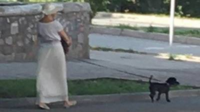 В Уфе «дама с собачкой» распространяла наркотики - bash.news - Челябинская обл. - Уфа - Свердловская обл. - Оренбургская обл.