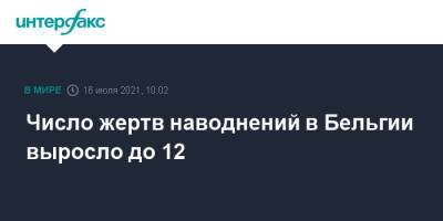 Число жертв наводнений в Бельгии выросло до 12 - interfax.ru - Москва - Бельгия - Голландия - Люксембург