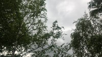 В Петродворцовом районе Петербурга прошел град - piter.tv - Санкт-Петербург - Петербург