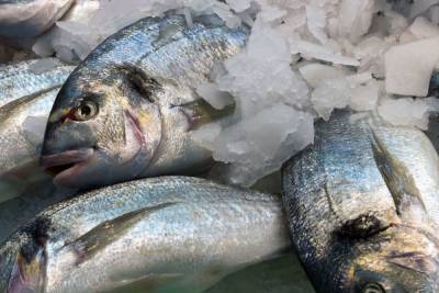Загляни рыбе в глаза: петербуржцам рассказали, как выбрать свежие продукты - spb.mk.ru - Санкт-Петербург