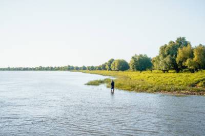 «Статистика печальная»: в Астраханской области на воде продолжают гибнуть люди - ast.mk.ru - Астрахань - Астраханская обл.