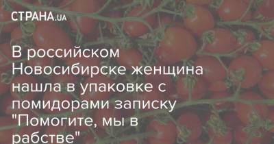В российском Новосибирске женщина нашла в упаковке с помидорами записку "Помогите, мы в рабстве" - strana.ua - Москва - Россия - Украина - Московская обл. - Новосибирск